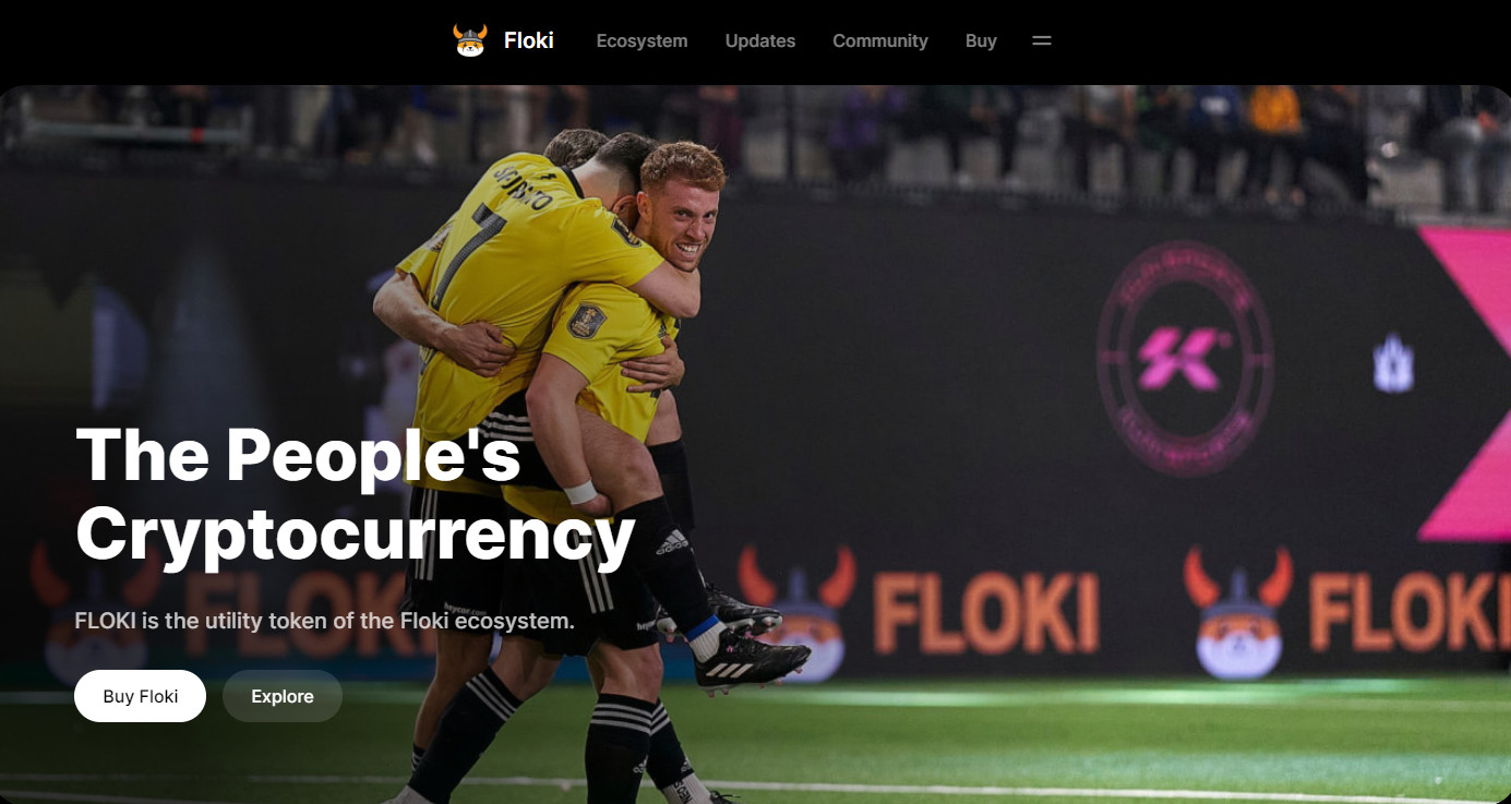 What is Floki? Complete set of cryptocurrency FLOKI