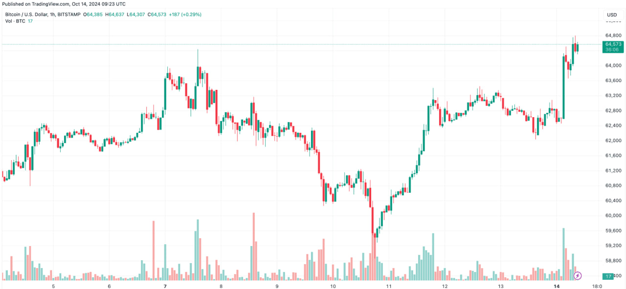 Bitcoin Breaks Above $64K, Trending Meme Coins Also Surge (Market Watch)