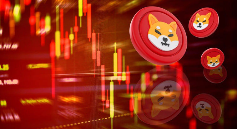 Shiba Inu Trader Says RCOF Will Skyrocket Like the Dogecoin Price in 2021, From $0.03 to $0.75 in 5 Months