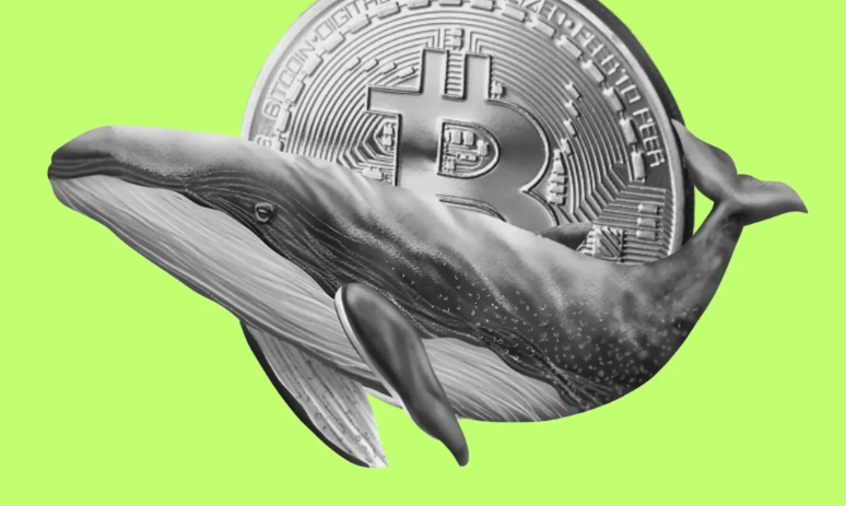 Bitcoin Whales Surge with 813% Growth, Holding 9.3% of Total Supply